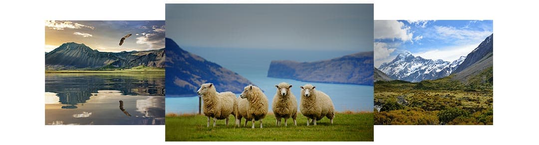 Paisagens da Nova Zelândia